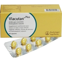 Viacutan-plus Viacutan Plus - Multidoser 95 mlViacutan Plus - 550 mg 40 capsules product name