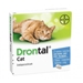 Bayer Drontal Cat 2 tabletten
