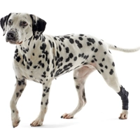 Kruuse Rehab Hakbeschermer - XXXS product name