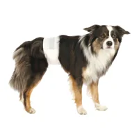 Trixie Luiers voor Reuen - L/XL - 12 Stuks Trixie Luiers voor Reuen - L/XL - 12 Stuks