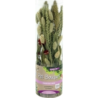 Esve Pet Bouquet Koker Habitat product name