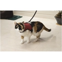 Beeztees Katten Loopharnas Comfort - Kattentuigje