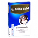 Bolfo Gold Hond 400 - 2 Pipetten