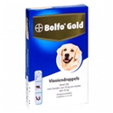 Bolfo Gold Hond 250 - 4 Pipetten