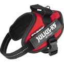 Julius K9 IDC Powertuig Mini Mini Rood