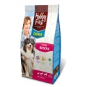 HobbyFirst Canex Senior Brocks Hond 3 kg