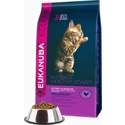 Eukanuba Kitten Healthy Start 4 kg