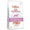 Calibra Life Dog Junior Large Breed Lamb hondenvoer 12kg