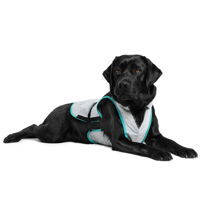 Suitical Small product name