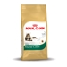Royal Canin Maine Coon 31 2 kg