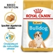 Royal Canin Bulldog 30 Junior 3 kg